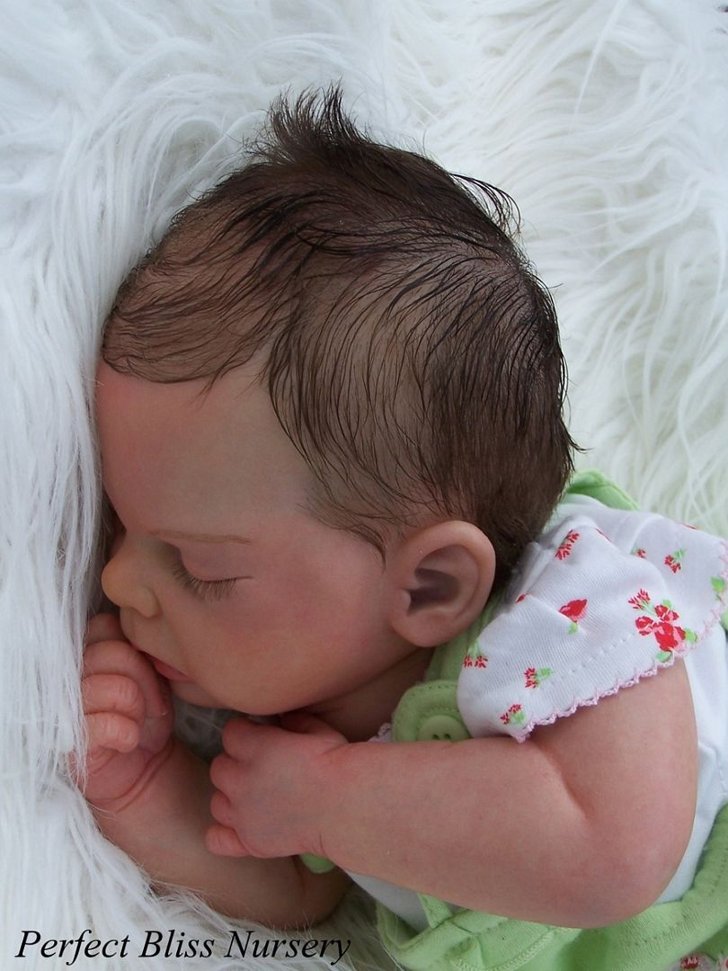 Satin Varnish Small Genesis Heat Set Reborn Baby Paints